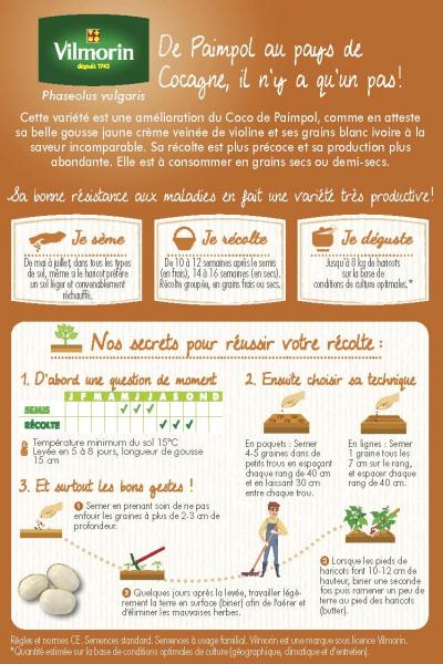 Légumes Secs - Haricot Nain à Ecosser Cocagne (type Paimpolais) - 20 m - MEDIA_PACKAGING_VERSO